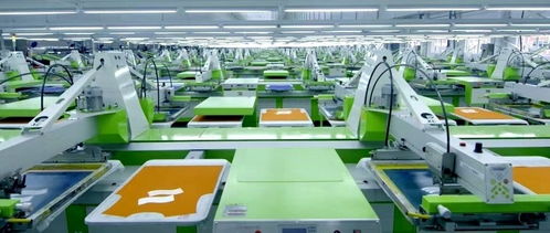 申洲國(guó)際是個(gè)大 地瓜 一家 代工廠 是怎么做到全球最大的